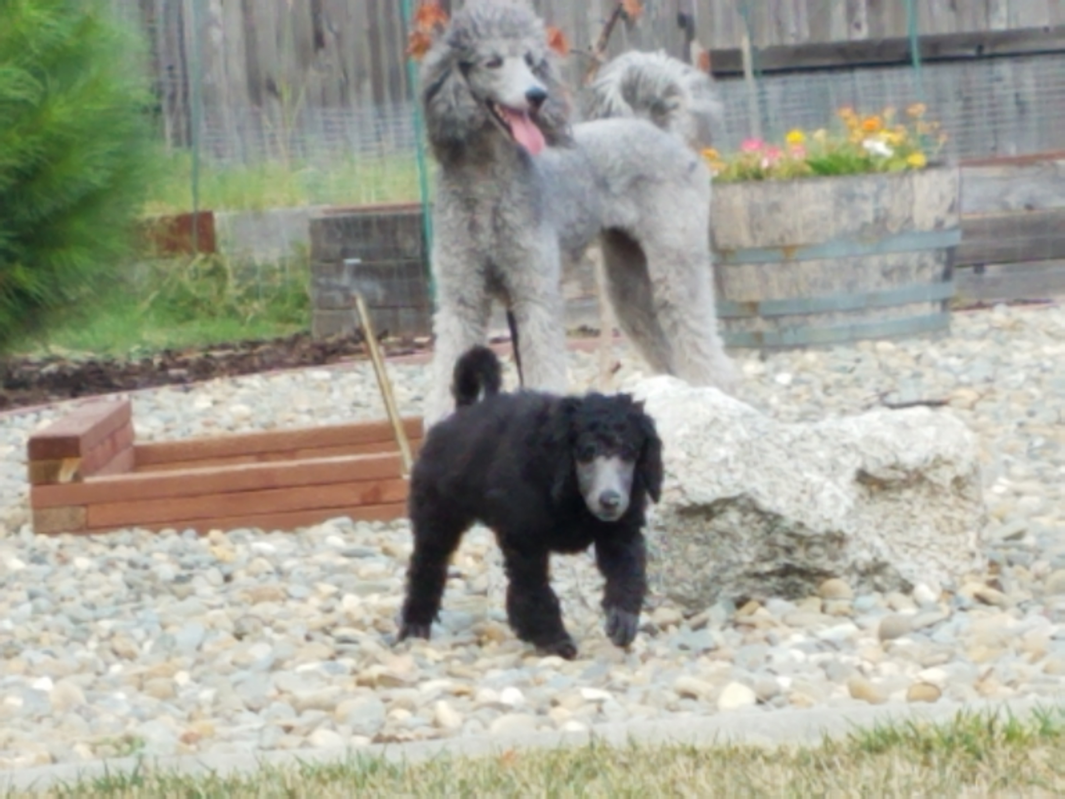 Playtime with mom